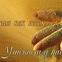 ���� Alternative, �����-��������� - ��������� 29 ��� 2016 � ������ ������ ��������