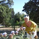 ���������� � ����� �� ������� ���� ����������