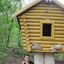  , -, 48  -  22  2016    