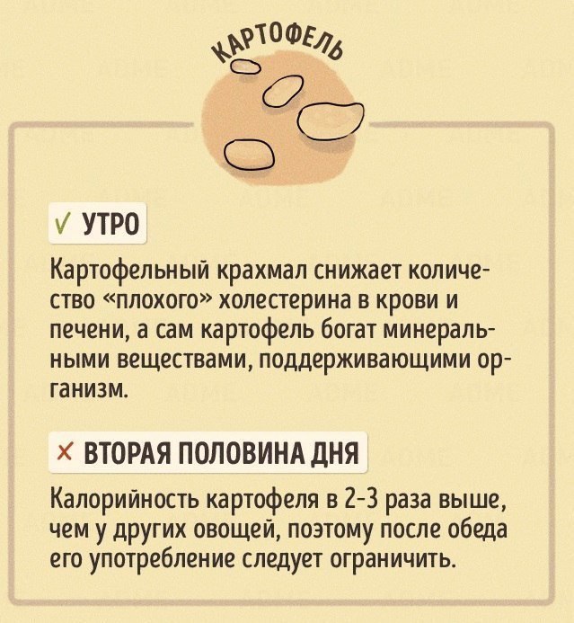     . - 2