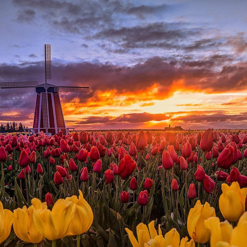 Amsterdam, Netherlands - 5