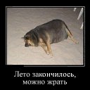 ���� ���������, �����, 50 ��� - ��������� 8 ���� 2016 � ������ ������ ��������