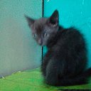 ���� �����, ����, 50 ��� - ��������� 14 ��� 2016 � ������ ������ ��������