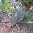 ���� �����, ������, 55 ��� - ��������� 6 ������� 2016 � ������ ��.������ ����� 2016�.�