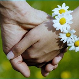 ���� �, ������������ - ��������� 6 ���� 2016