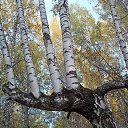 ���� ������, ������������ - ��������� 12 ��� 2016 � ������ ������ ��������