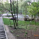 ���� ������, �����, 65 ��� - ��������� 11 ���� 2016 � ������ ��������, �������, ��� 2016�.�