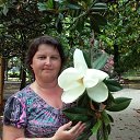 ���� �����, ��������, 51 ��� - ��������� 2 ���� 2016 � ������ ���� ����������