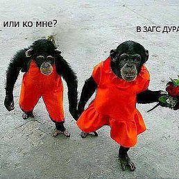 ���������, ����-���