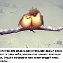 ���� �����, ���������, 43 ���� - ��������� 19 ������� 2016 � ������ ������ ��������