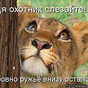 ���� ����, ������, 74 ���� - ��������� 13 ���� 2016 � ������ ���� ����������