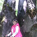 ��������� ��� ������� (� ����� � ������) �� ������� ���� ����������