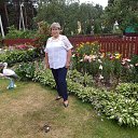  , , 68  -  10  2016     2016