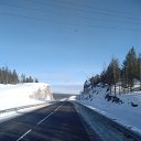 ���� ������, ���������, 49 ��� - ��������� 17 ������ 2016