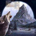 ���� ��������� �������, ��������-��-������, 67 ��� - ��������� 30 ����� 2016 � ������ ������ ��������