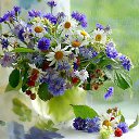 ���� �����, ��������� - ��������� 6 ���� 2016 � ������ ������ ��������