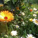 ���� ��������, ������� ��������, 68 ��� - ��������� 2 ������� 2016 � ������ ���� ����������