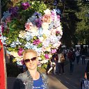 ���� ����, ������, 43 ���� - ��������� 5 ���� 2016 � ������ ���� ����������