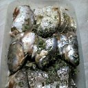 ���� ���������, ����, 69 ��� - ��������� 28 ���� 2016