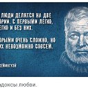 ���� ������, ����, 49 ��� - ��������� 22 ������� 2016 � ������ ���� ����������