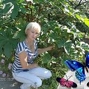 ���� ������( � ����������,����������!!!!!!!) ������, ���������, 60 ��� - ��������� 1 ������� 2016 � ������ ���� ����������