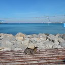 ���� �����, ���� - ��������� 28 ����� 2016 � ������ �������������� ����