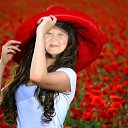 ���� ��������, ������ - ��������� 12 ����� 2016 � ������ �����������