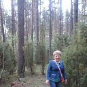 ���� �������, �����, 65 ��� - ��������� 17 ��� 2016 � ������ ���� ����������