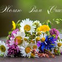 ���� �����*, ������, 57 ��� - ��������� 22 ������ 2016 � ������ ���� ����������
