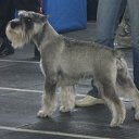 ���� �����, ����, 49 ��� - ��������� 16 ������ 2016 � ������ ���� ����������