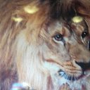 ���� ��������, ������ �������� - ��������� 1 ���� 2016 � ������ ���� ����������