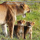 ���� ������, ������, 53 ���� - ��������� 11 ��� 2016 � ������ ������ ��������