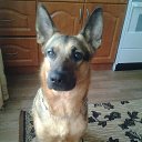 ���� ������, �����-���������, 54 ���� - ��������� 27 ���� 2016 � ������ ������ ��������