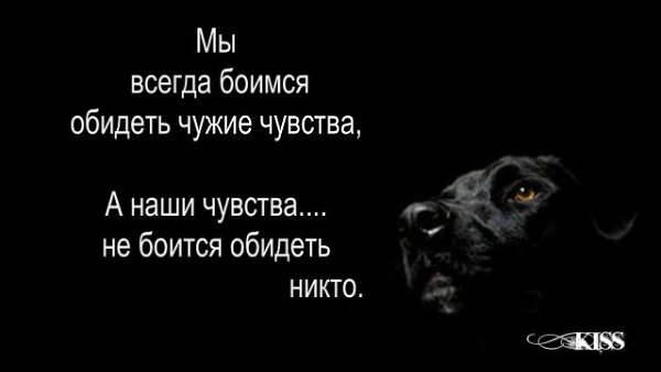 Часто бояться. Мы всегда боимся обидеть чужие чувства. Я всегда боюсь обидеть чужие чувства. Никто не боится обидеть меня. Наши чувства не боится обидеть.