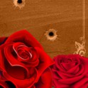 ���� Aleksia, ������ - ��������� 4 ���� 2016 � ������ ������ ��������