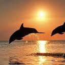 ���� ������!!!, ������ - ��������� 9 ������� 2016