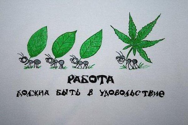 BEST | , ,  - 13  2016  13:44