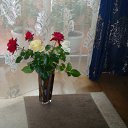 ������� ������� �� ������� ���� ����������