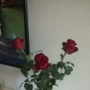 ���� ������, ������, 51 ��� - ��������� 6 ������� 2016 � ������ ���� ����������