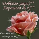 ���� ������(80), ���� - ��������� 30 ��� 2016 � ������ ���� ����������