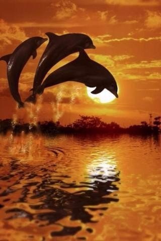 E s t h e t i q u e - 28  2016  06:55