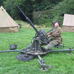 �������, ����, 47 ���