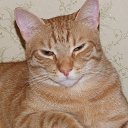 ���� �������, �����-���������, 55 ��� - ��������� 3 ������� 2016 � ������ ��������