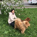 ������� �������