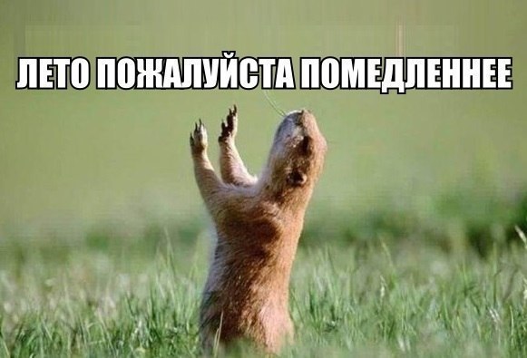    ! <a href=