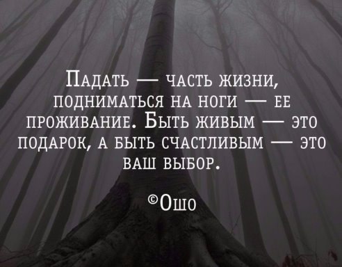 .https://fotostrana.ru/away?to=/sl/kxC2 - 10  2016  08:38