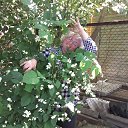 ���� �����, ��������, 56 ��� - ��������� 17 ��� 2016