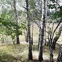 ������� ������ �� ������� ���� �������