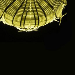 ���� �����, ���, 58 ��� - ��������� 23 ���� 2016