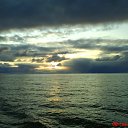 ���� ������, ���, 54 ���� - ��������� 13 ����� 2016 � ������ ���� ����������